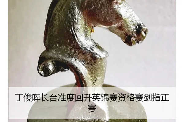 ding-jun-hui-zhang-tai-zhun-du-hui-sheng-ying-jin-sai-zi-ge-sai-jian-zhi-zheng-sai-2-908.jpg