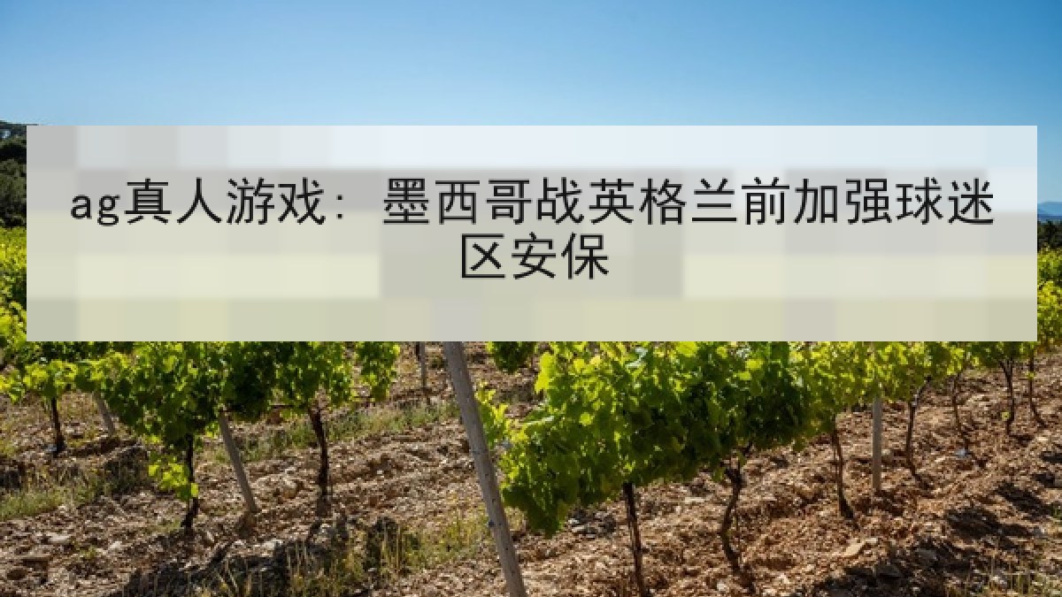 ag真人游戏: 墨西哥战英格兰前加强球迷区安保