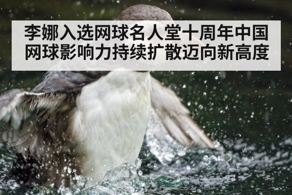 李娜入选网球名人堂十周年中国网球影响力持续扩散迈向新高度